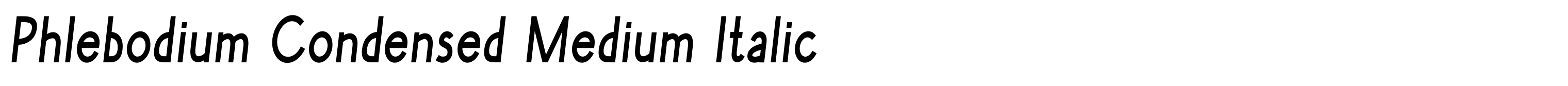 Phlebodium Condensed Medium Italic